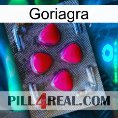 Goriagra 13